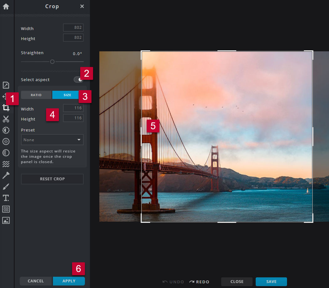 Screen shot of the cropping tool with a specific output size